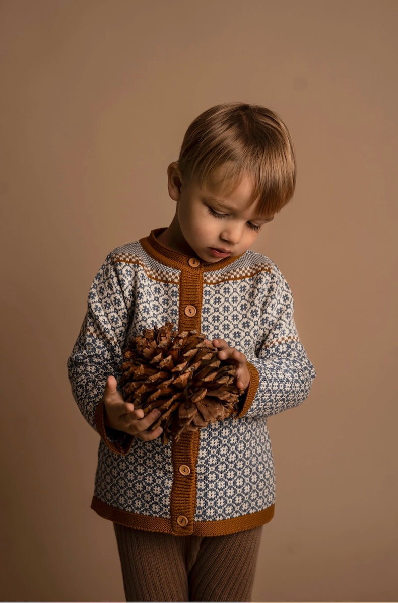 Hanevild Kid Cardigan