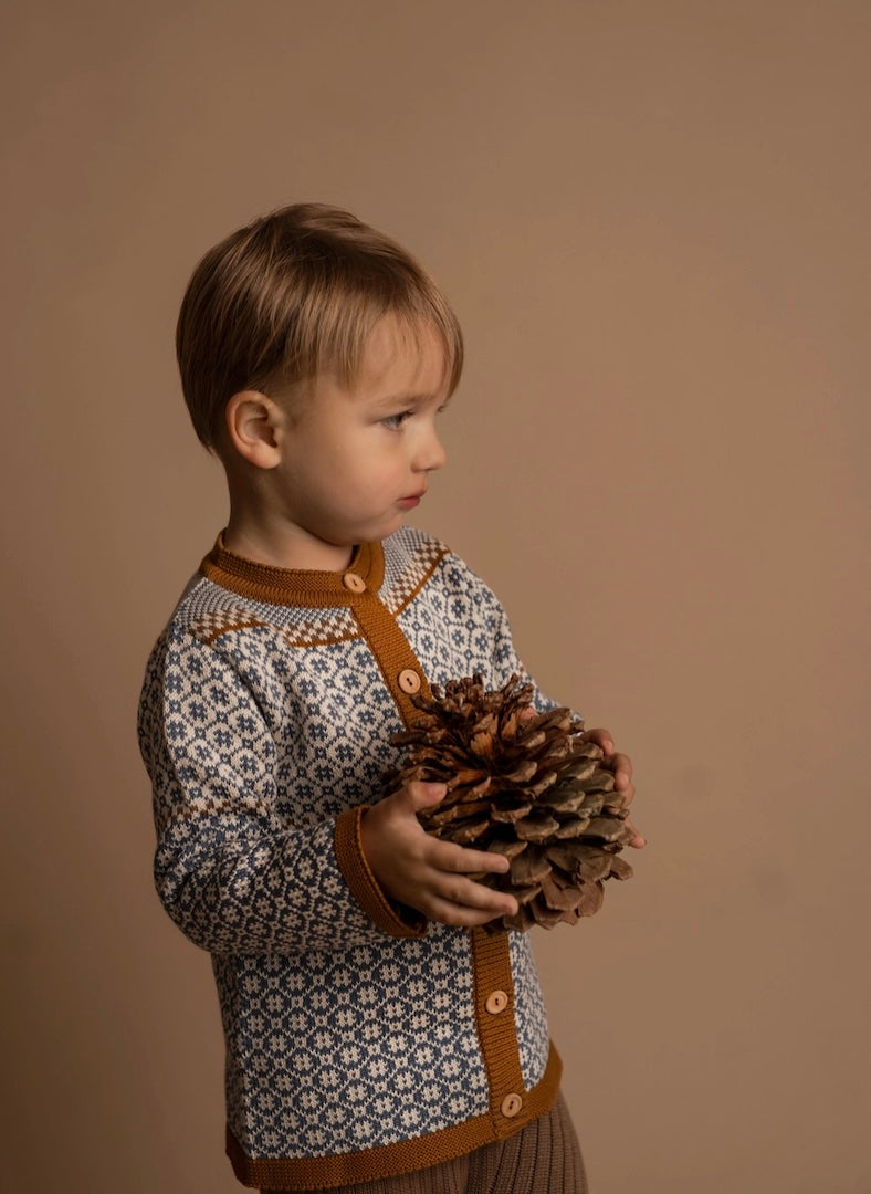 Hanevild Kid Cardigan