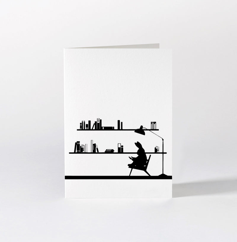 Card Reading Rabbit